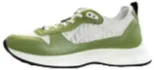 Dior B25 - Green Oblique
