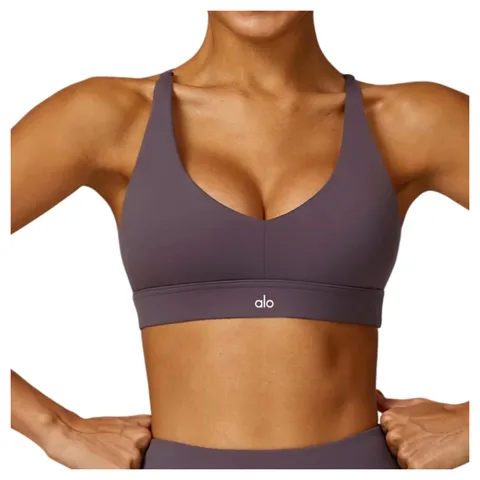 Alo Vest - Mauve V-Neck Bra