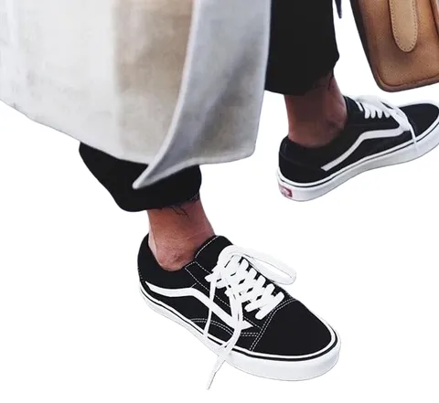 Vans Skate Shoes
