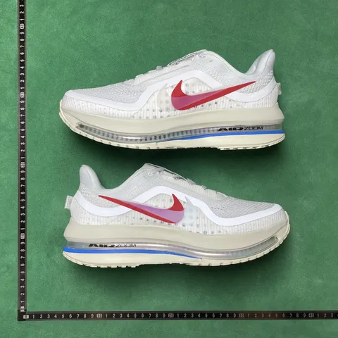 Nike Pegasus Premium Forrest Gump