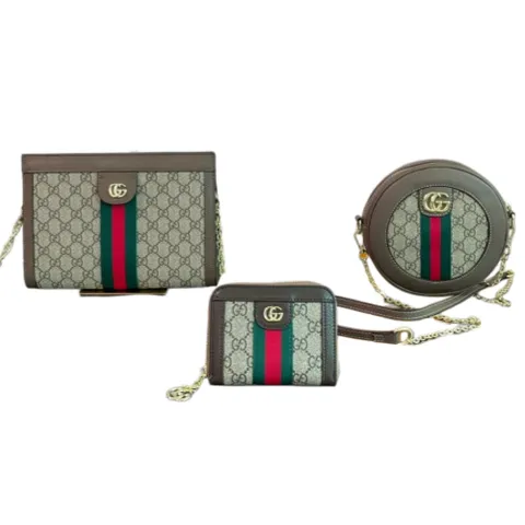Gucci Bag - Ophidia GG Set