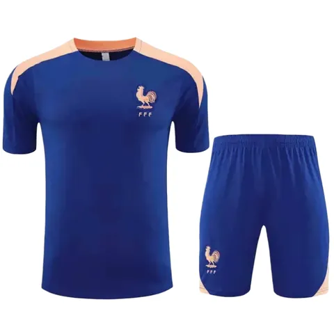 2526 season France Training clothes suit Short sleeve Fan version - Blue Tee & Shorts