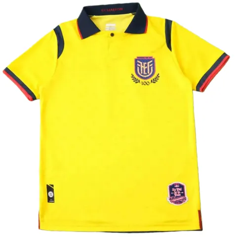 2526 season Ecuador away Fan version - Yellow