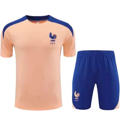 2526 season France Training clothes suit Short sleeve Fan version - Peach Tee & Shorts