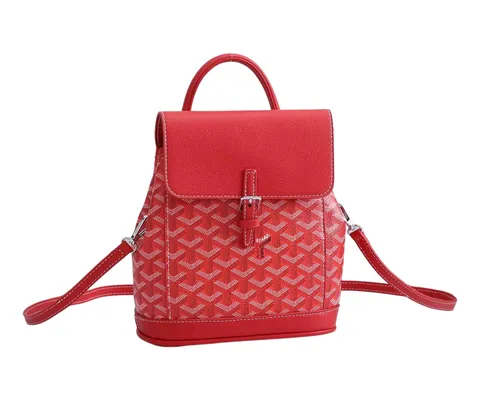 Goyard Bag - Red Backpack