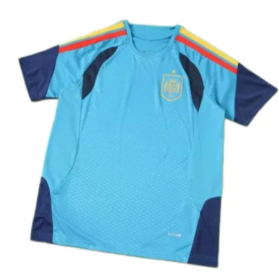 2026 FIFA World Cup Spain Training shirt Fan version - Sky Blue