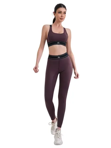 Alo Set - Plum Bra & Leggings