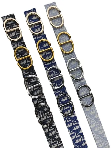 Dior Belt - CD Buckle Multi-Colour