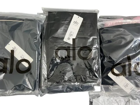 Alo Hoodie - Mystery Bag II