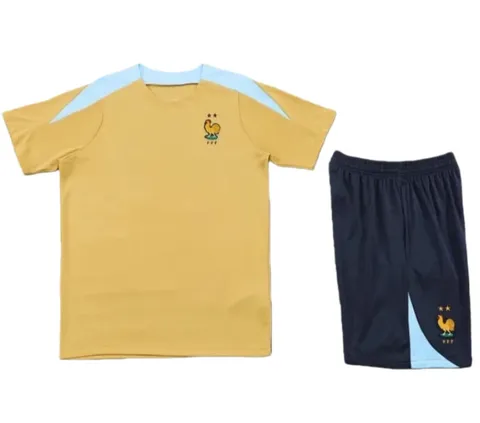 2425 France Training clothes suit Short sleeve Fan version - Gold Tee & Shorts