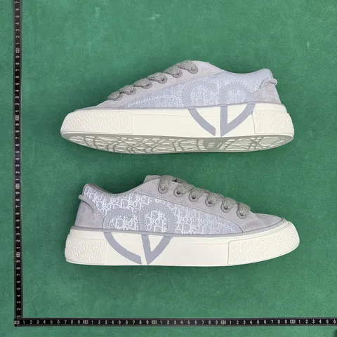 Dior B33 - Grey Oblique