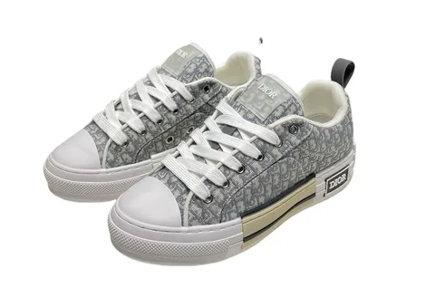 Dior Shoes - Grey Oblique Low