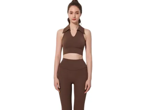 Alo Vest - Brown Bra & Shorts