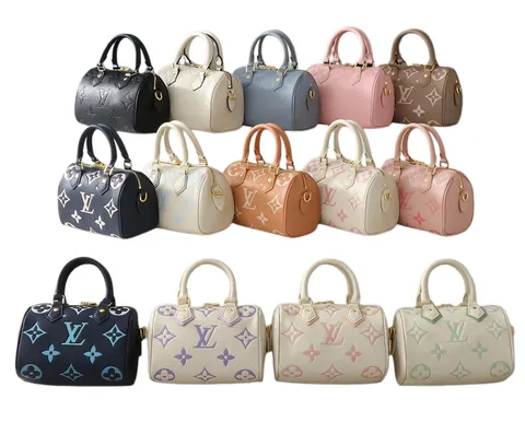 Louis Vuitton Bag - Speedy Multi-Colour, Leather