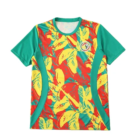 2526 season Senegal Training clothes Fan version